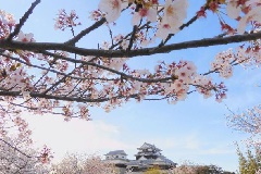 イベント画像
