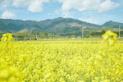 イベント画像