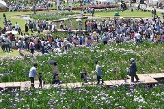 イベント画像