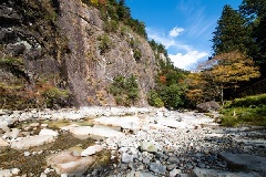 写真１