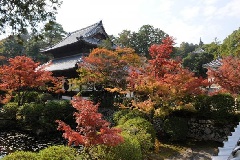 イベント画像