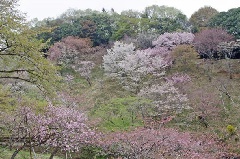 写真１