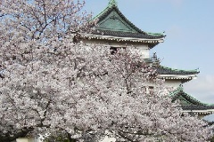 イベント画像