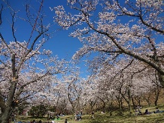 写真１