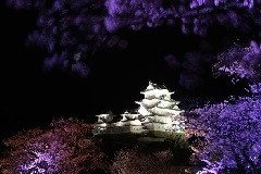 イベント画像