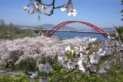 写真１