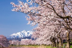 イベント画像