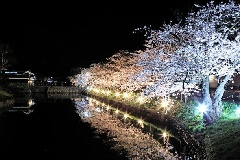 写真１