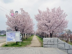 写真１
