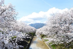 イベント画像