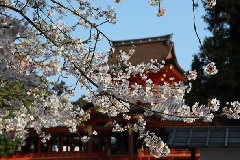 写真１