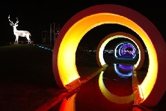 写真１