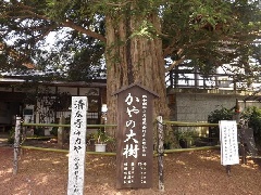 写真１