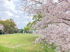 写真１