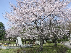 写真１