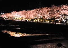 写真１