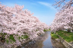 写真１