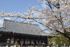 写真１