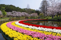 写真１