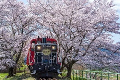 写真１