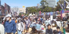 写真１