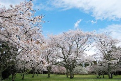 写真１