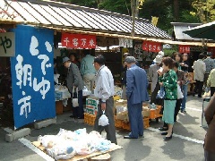 写真１