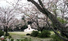写真１