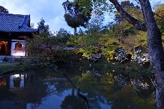 写真１