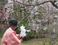 写真１
