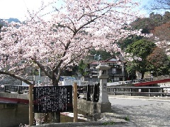 写真１