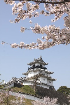 写真１