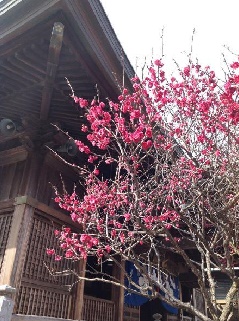 写真１