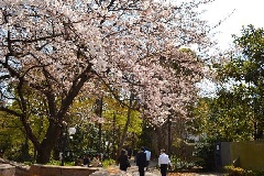写真１