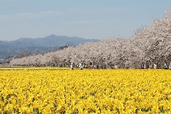 写真１