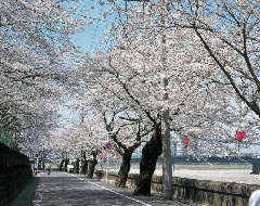 写真１
