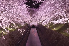 イベント画像