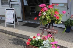 写真１