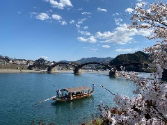 写真１