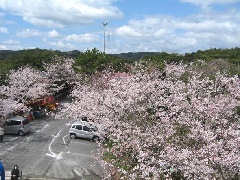 写真１