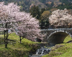 写真１