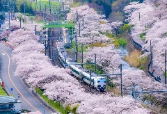 写真１