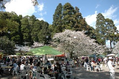 イベント画像