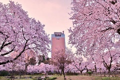 写真１