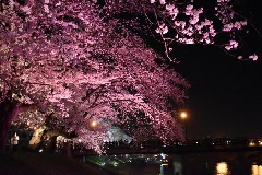 イベント画像