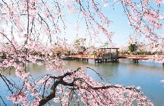 写真１