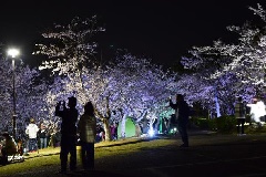 イベント画像