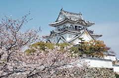 写真１