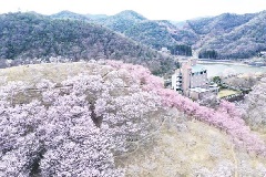 写真１
