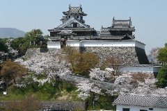 イベント画像